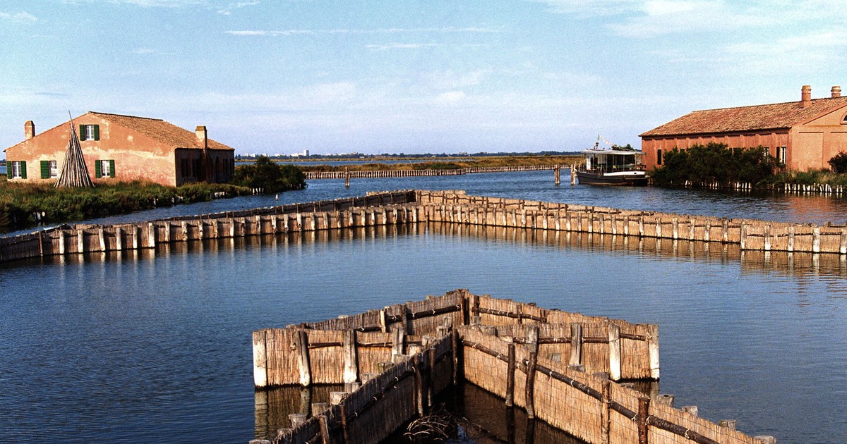 Lavoriero per la pesca dell'anguilla in una valle del Delta del Po a Porto Tolle, nebbia mattutina d'autunno