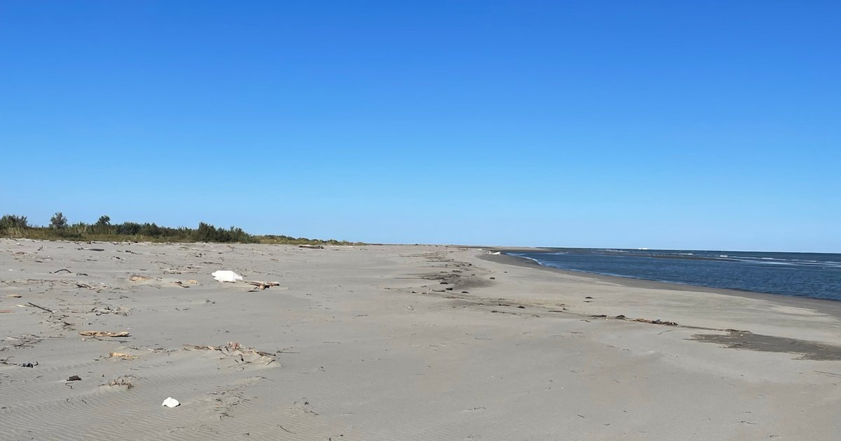 Spiaggia selvaggia di Scano Boa con dune di sabbia chiara e mare aperto all'orizzonte nel Delta del Po