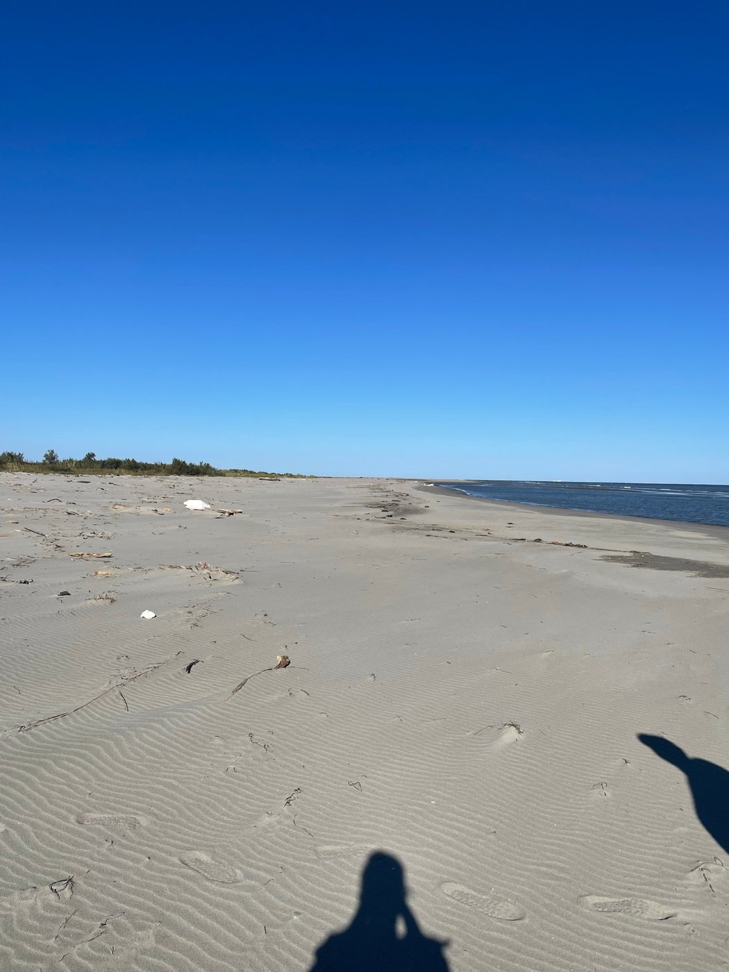 Sabbia chiara, dune e mare aperto sulla spiaggia di Scano Boa alla foce del Po di Pila